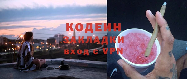 крисы Богородицк