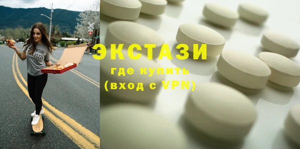 крисы Богородицк