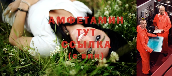 крисы Богородицк