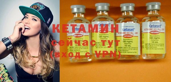 крисы Богородицк
