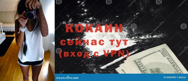 крисы Богородицк
