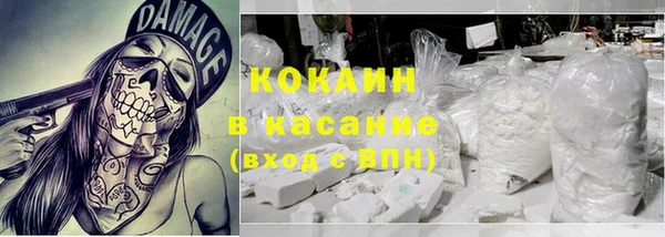 крисы Богородицк